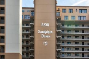 Sandpiper Dunes